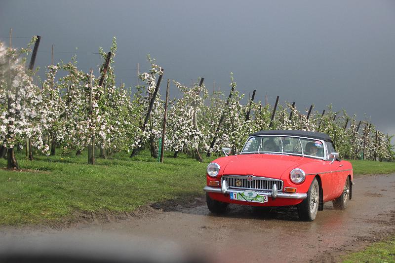 MG Bloesemrit op 24-4-2016 org. Jos&Marie-lou  (295).JPG